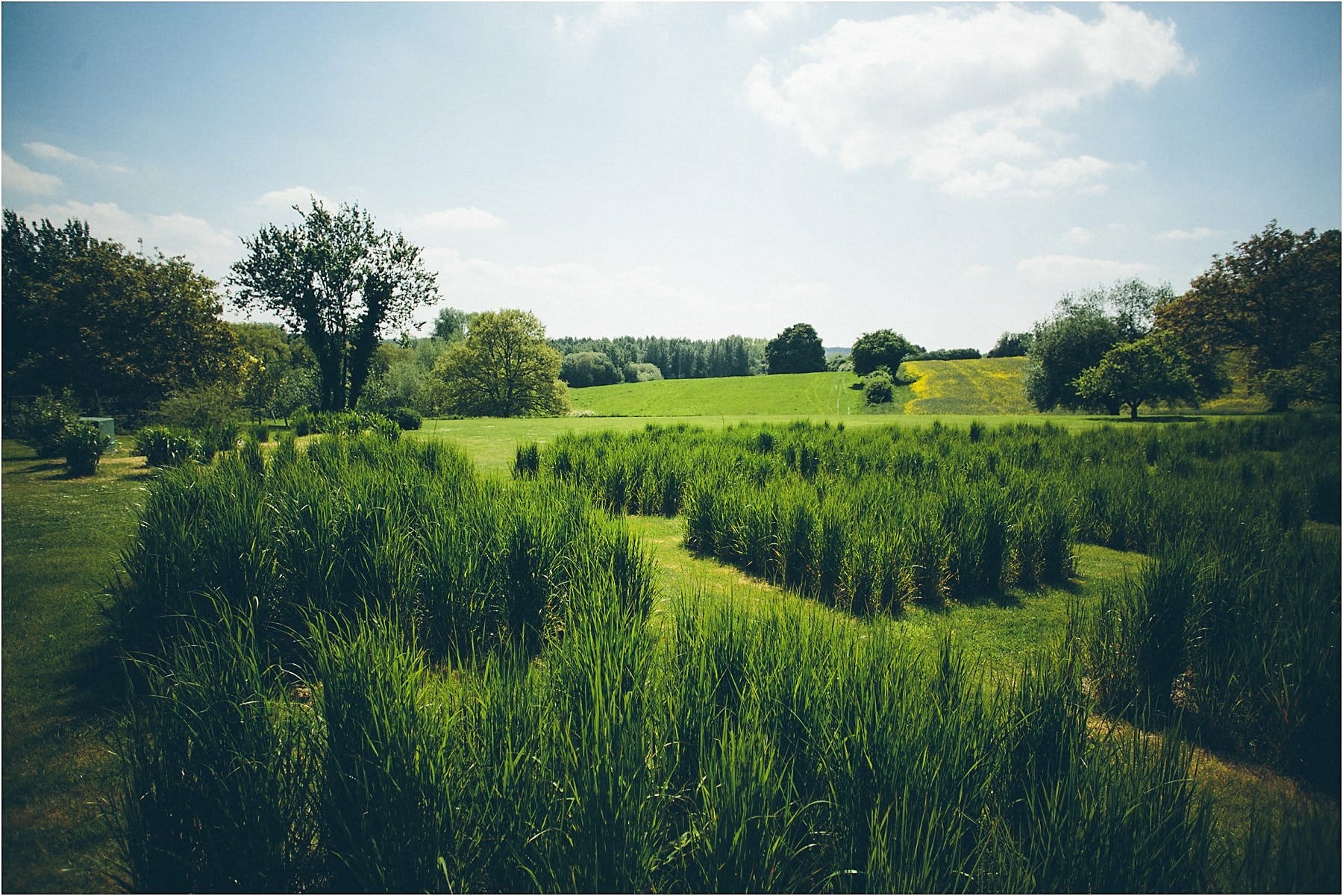 The_Barn_At_Bury_Court_Wedding_001